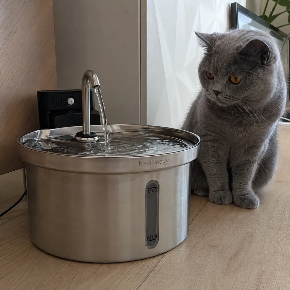 Katzen Trinkbrunnen reinigen und hygienisch pflegen