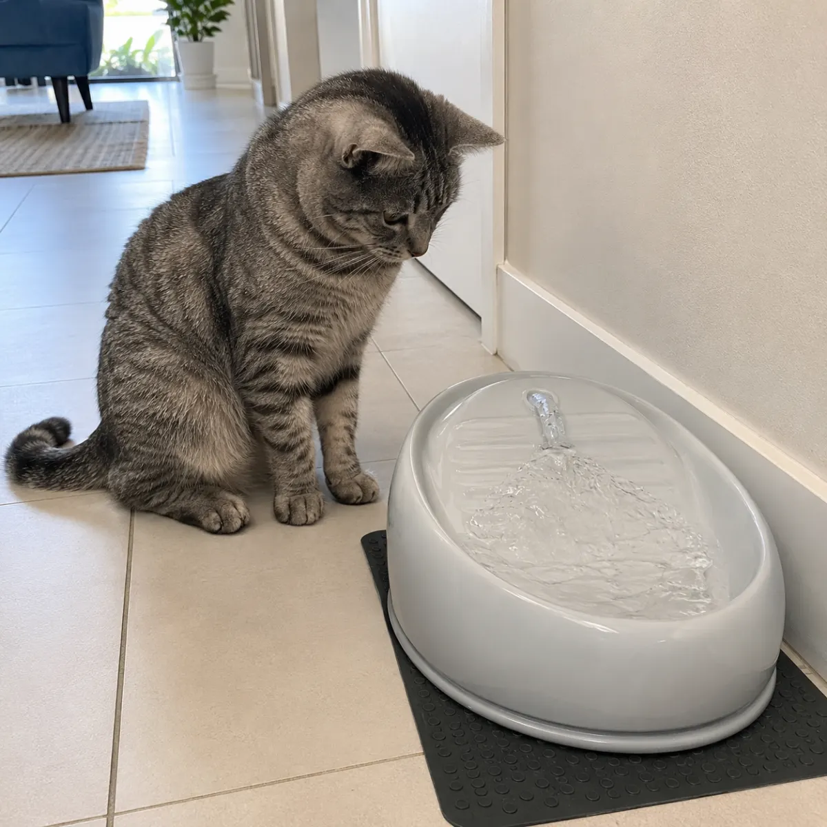 Leiser Trinkbrunnen für Katzen mit ruhigem Wasserfluss