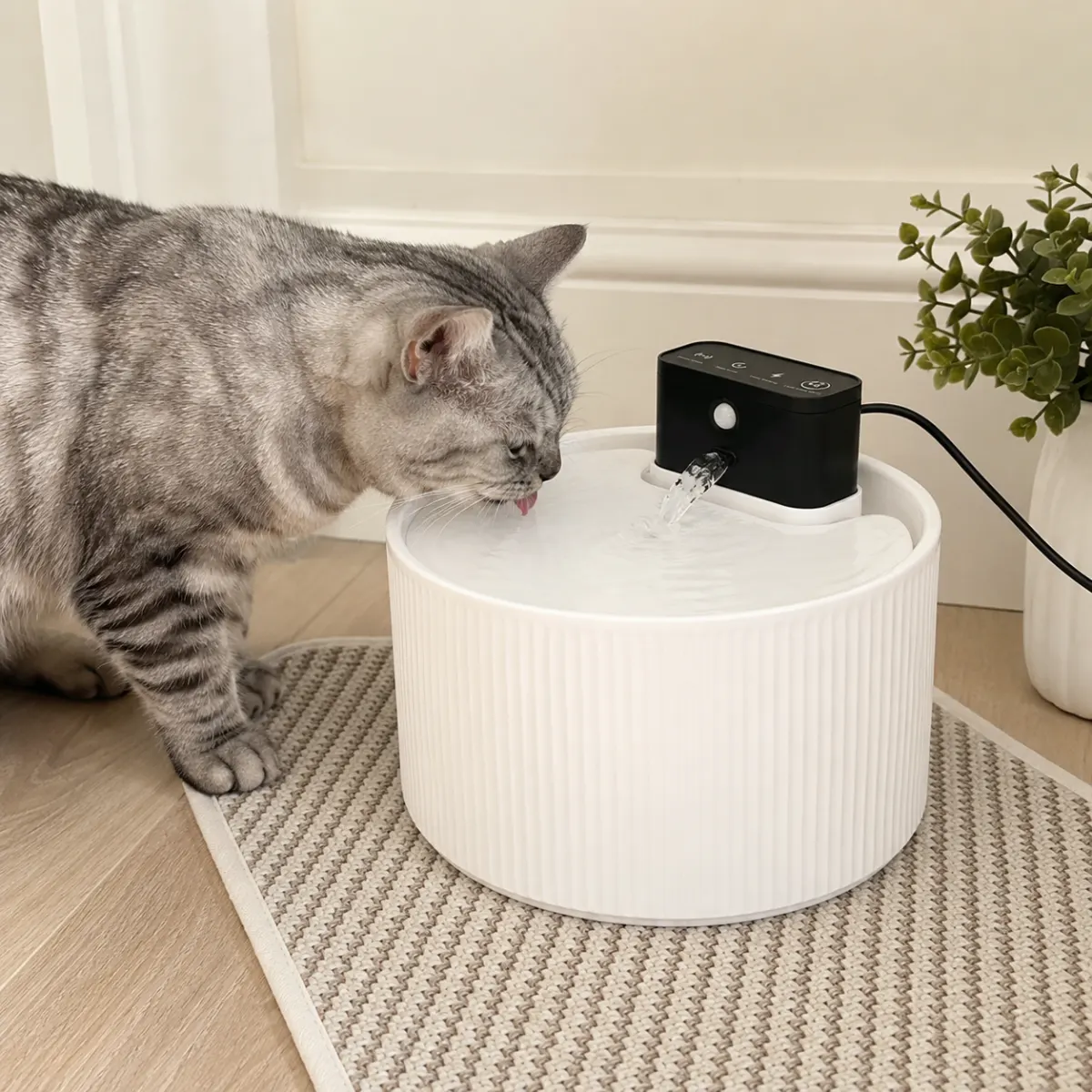 Kabelloser Katzen Trinkbrunnen mit Sensor im Alltag