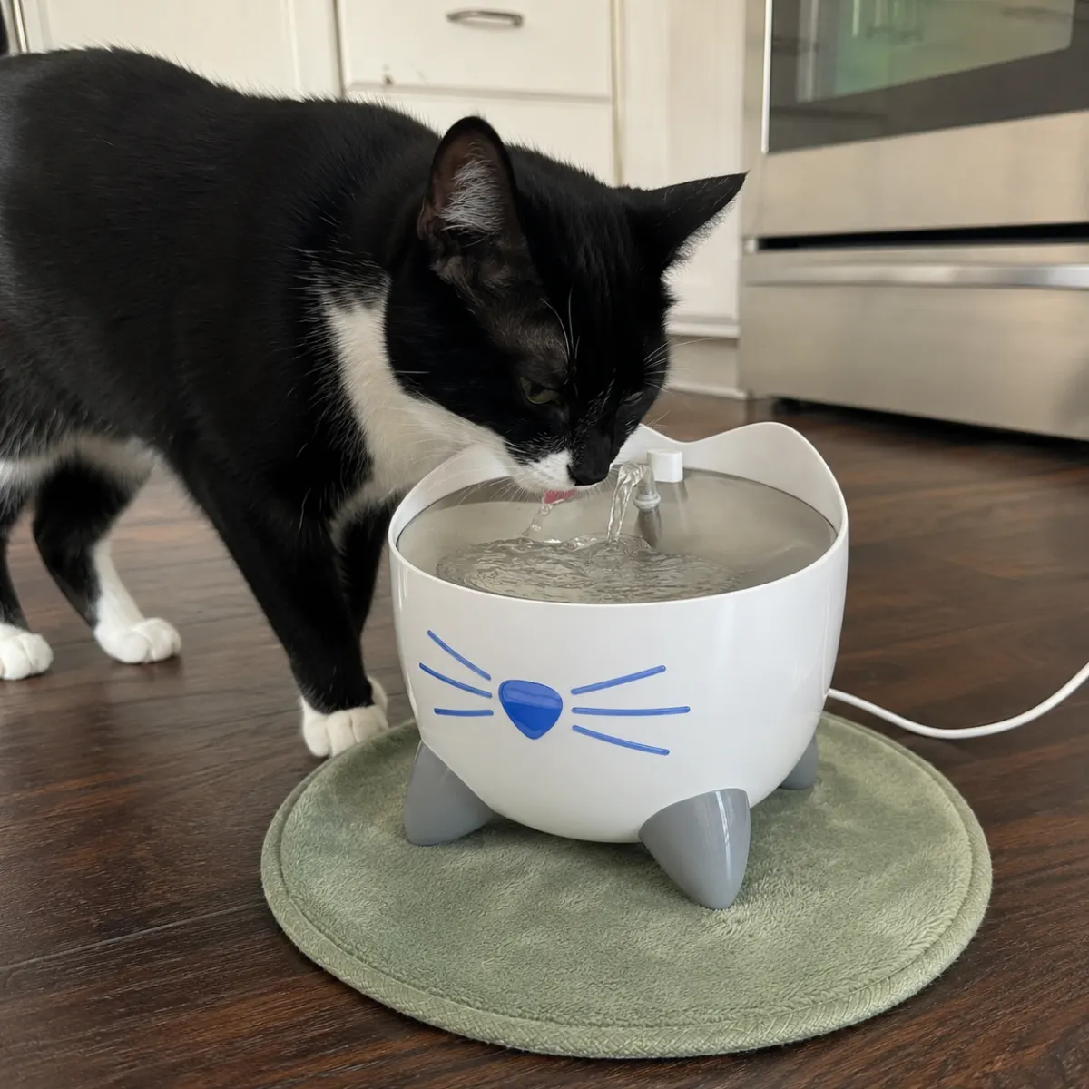Catit PIXI Smart Trinkbrunnen