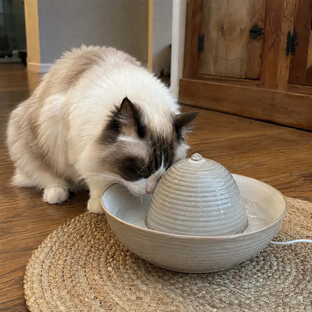 Keramik Trinkbrunnen für Katzen mit ruhigem Wasserfluss