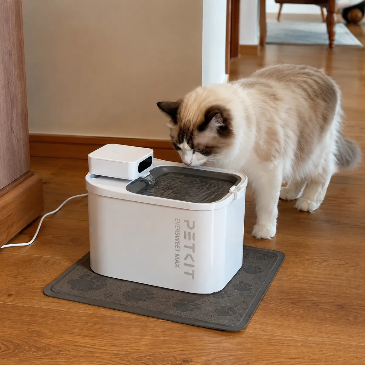 PETKIT intelligenter Wasserbrunnen mit App-Steuerung