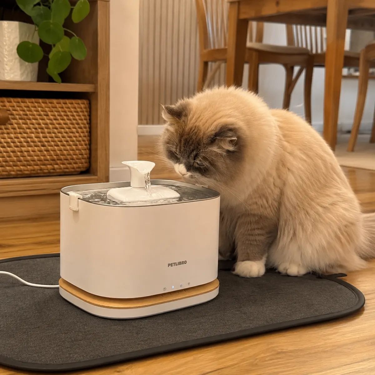PETLIBRO Upgrade Katzenbrunnen mit App-Überwachung