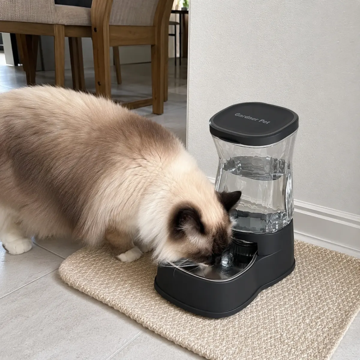Trinkbrunnen Katze ohne Strom und Wasserspender Alternative