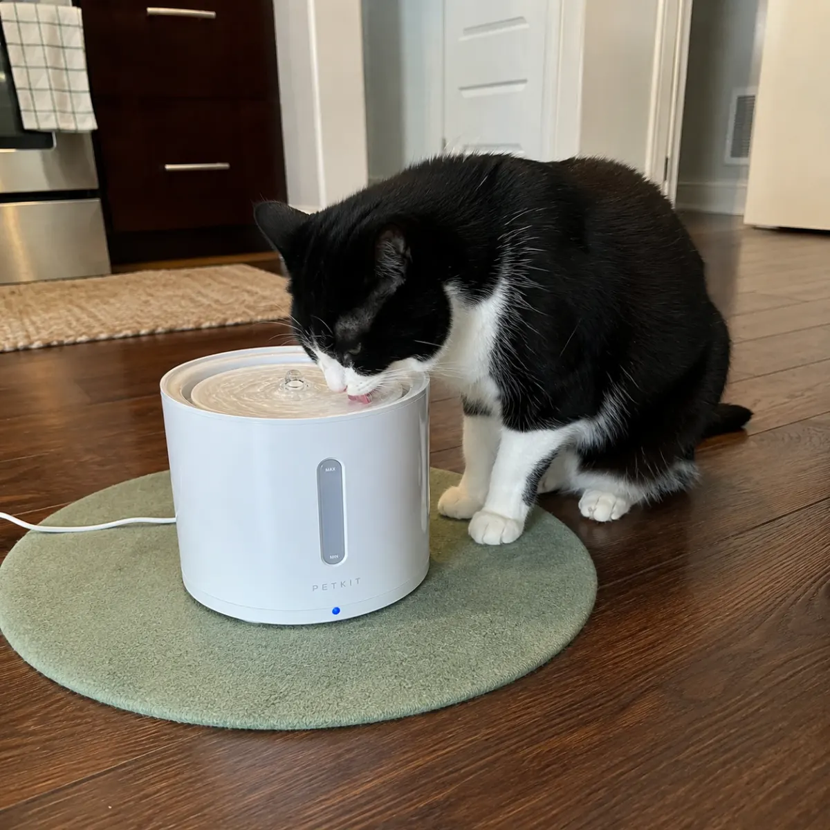 PETKIT automatischer intelligenter Trinkbrunnen mit drahtloser Pumpe