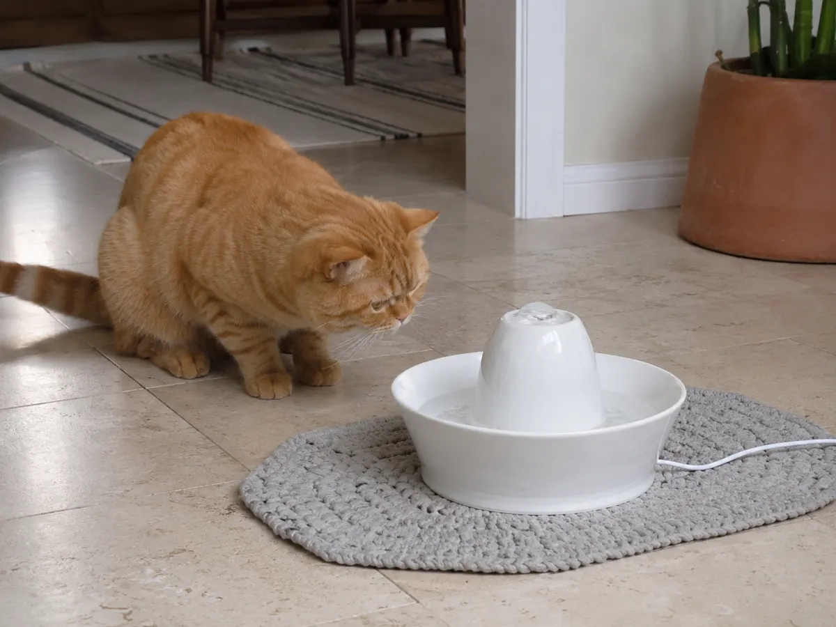 PetSafe Keramik-Trinkbrunnen Streamside/Bachgeflüster