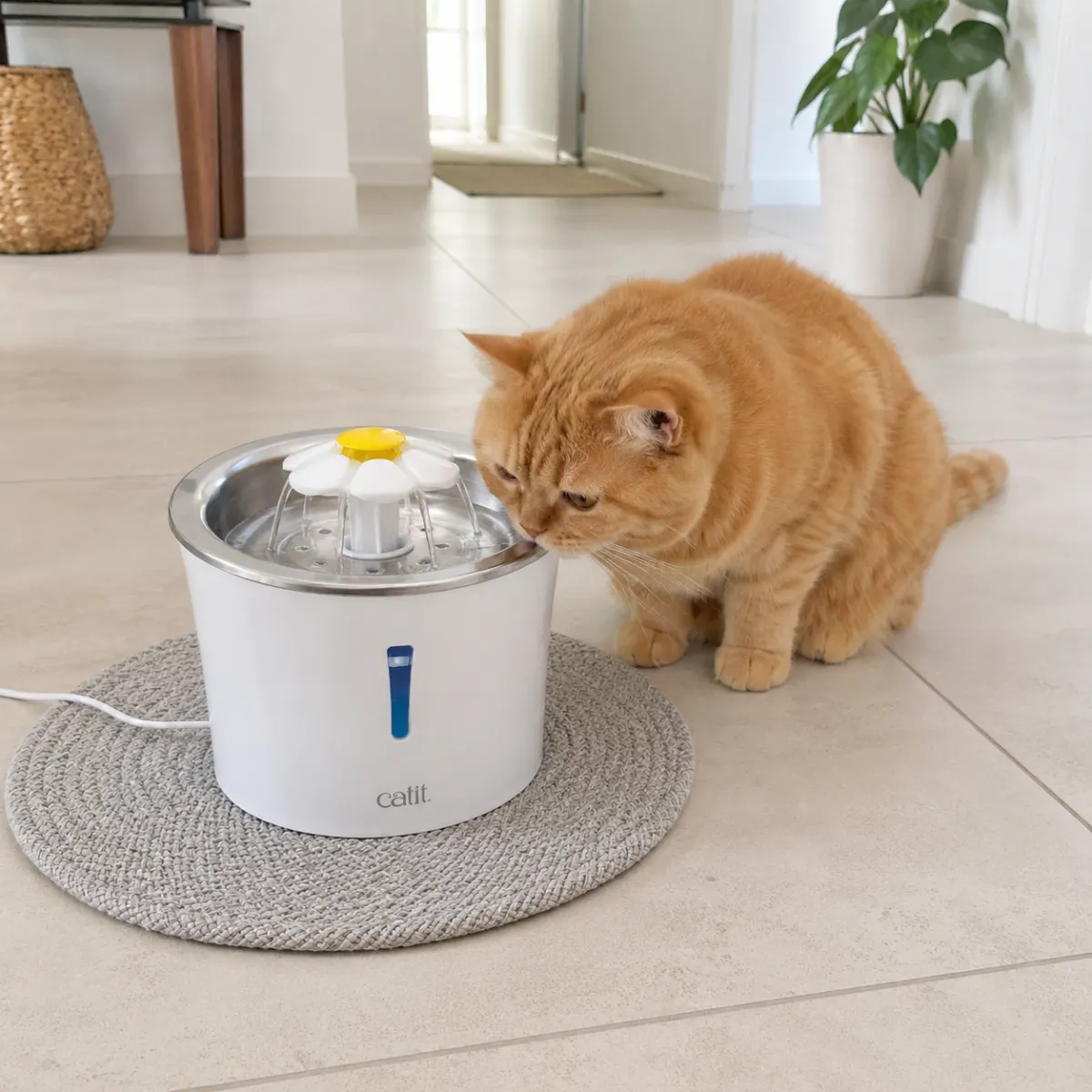 Catit Blumentrinkbrunnen mit Edelstahleinsatz