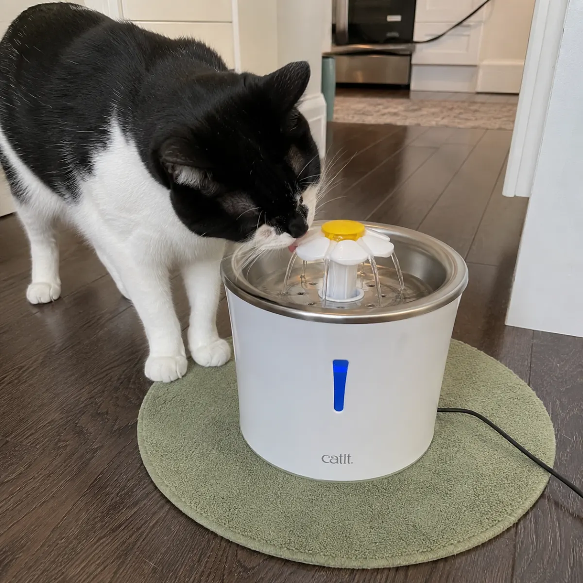 Catit Blumentrinkbrunnen mit Edelstahleinsatz